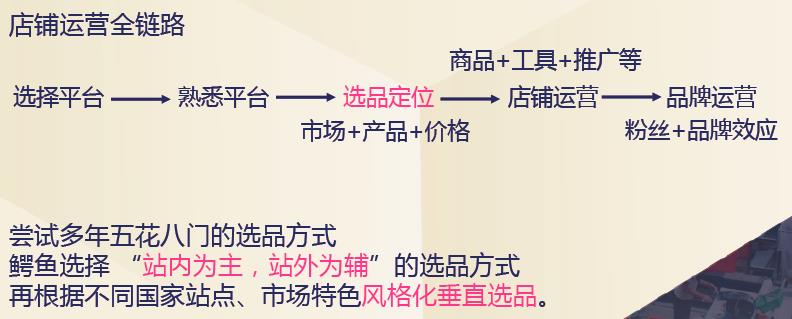 线上选品策略：找到您的专属优势